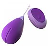 Ou Vibrator Remote Kegel For Her Mov