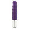 Vibrator Discretion Ribbed Mov